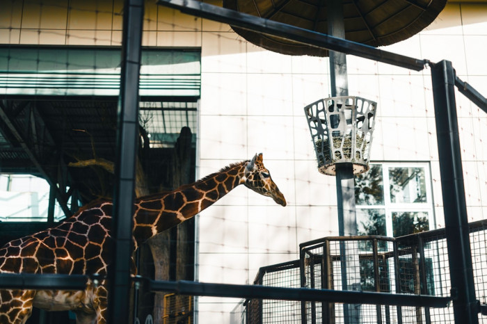 İngilizcede '4'ü 10 Geçe' Ne Demek?