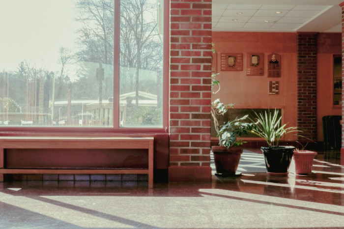 5. Sınıf İngilizce 2. Dönem 2 Yazılı Online Test Hazırlığı